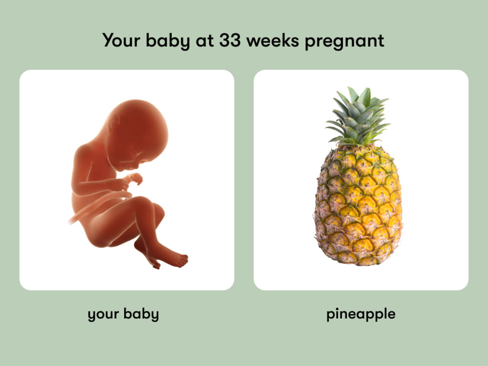 At week 33 of pregnancy, the baby is around 44 cm long, equivalent to the size of a pineapple