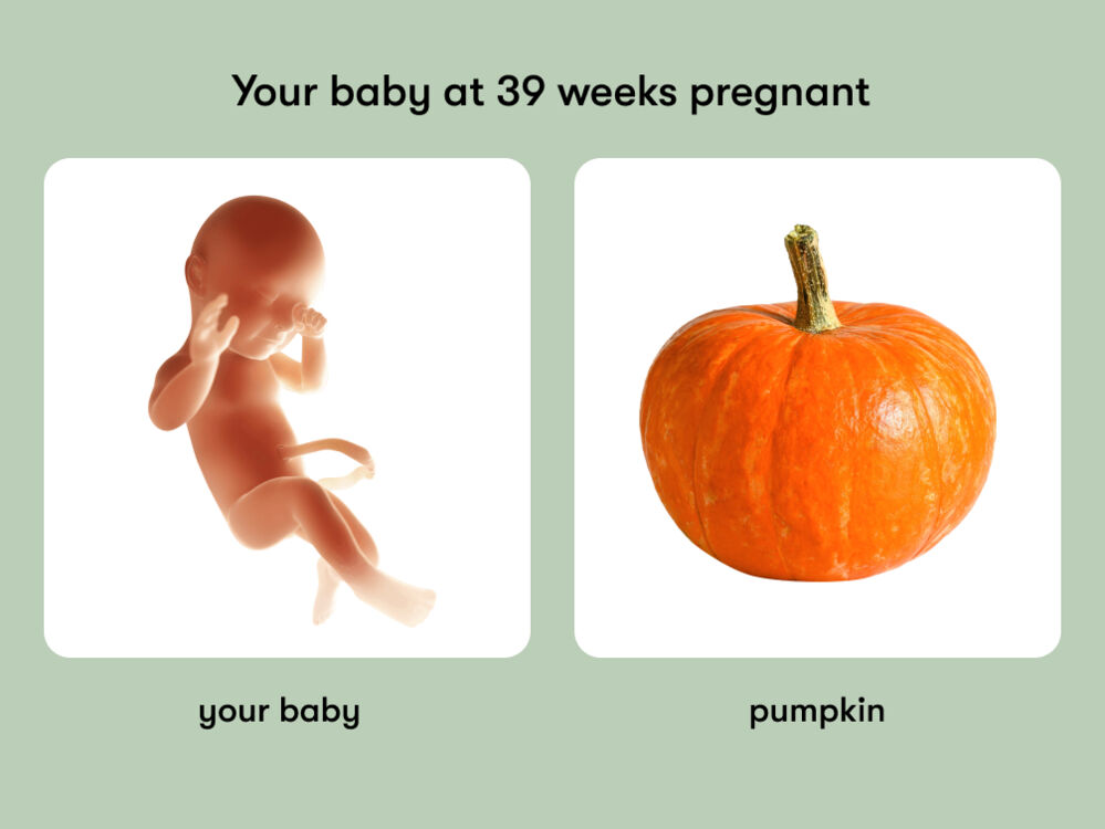 At 39 weeks pregnant, your baby is the size of a pumpkin