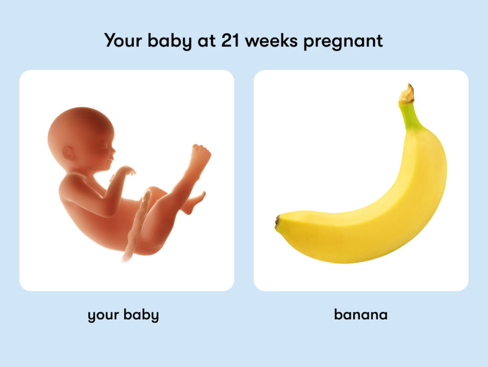 At week 21 of pregnancy, the baby is around 27.4cm long, equivalent to the size of a banana