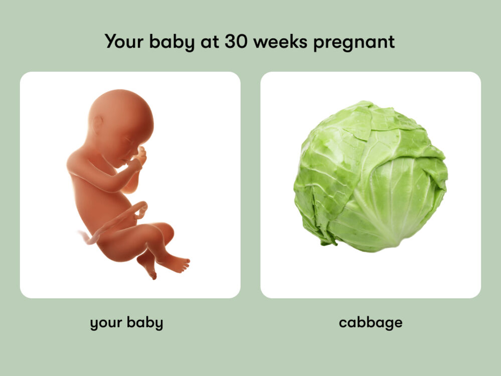 At week 30 of pregnancy, the baby is around 40.5 cm long, equivalent to the size of a cabbage