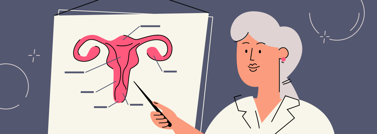Vagina parts and what they do
