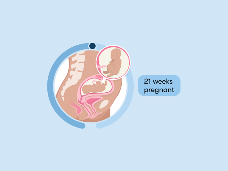 21 weeks pregnant: Your guide to this week of your second trimester
