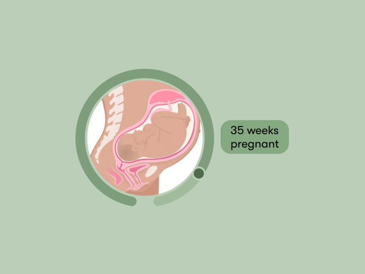 35 weeks pregnant: Your guide to this week of your third trimester