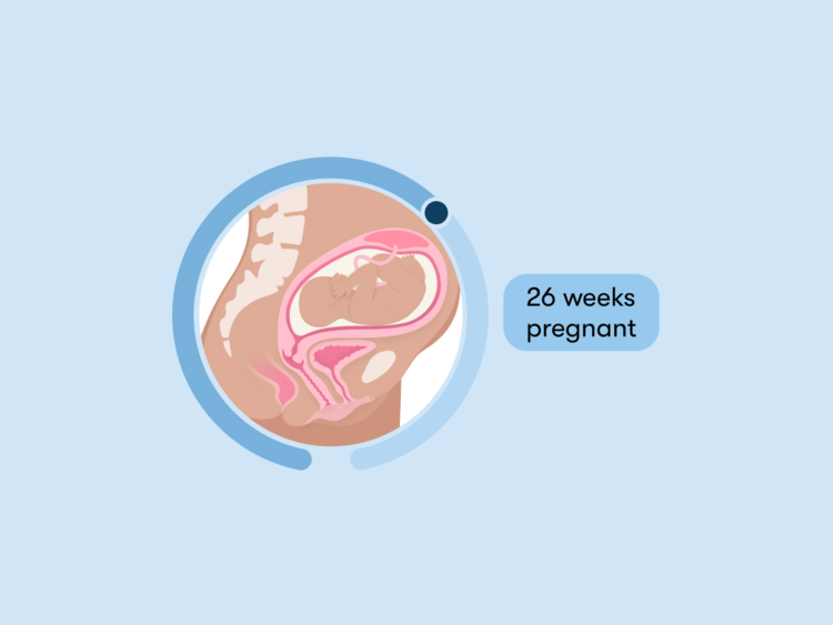 26 weeks pregnant: Your guide to this week of your second trimester
