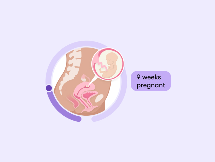 9 weeks pregnant: Your guide to this week of your first trimester