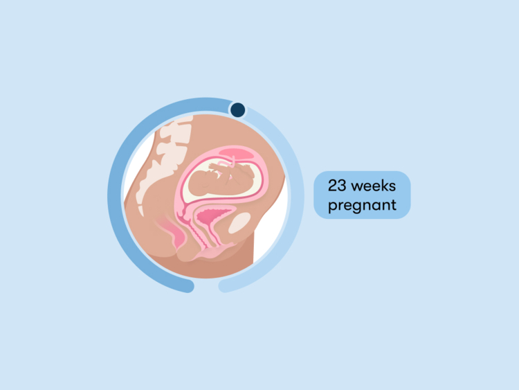 23 weeks pregnant: Your guide to this week of your second trimester