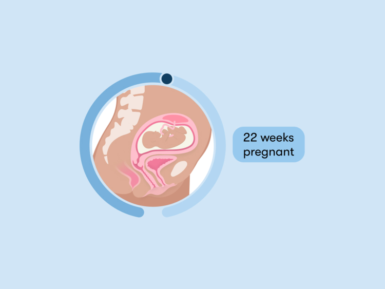 22 weeks pregnant: Your guide to this week of your second trimester